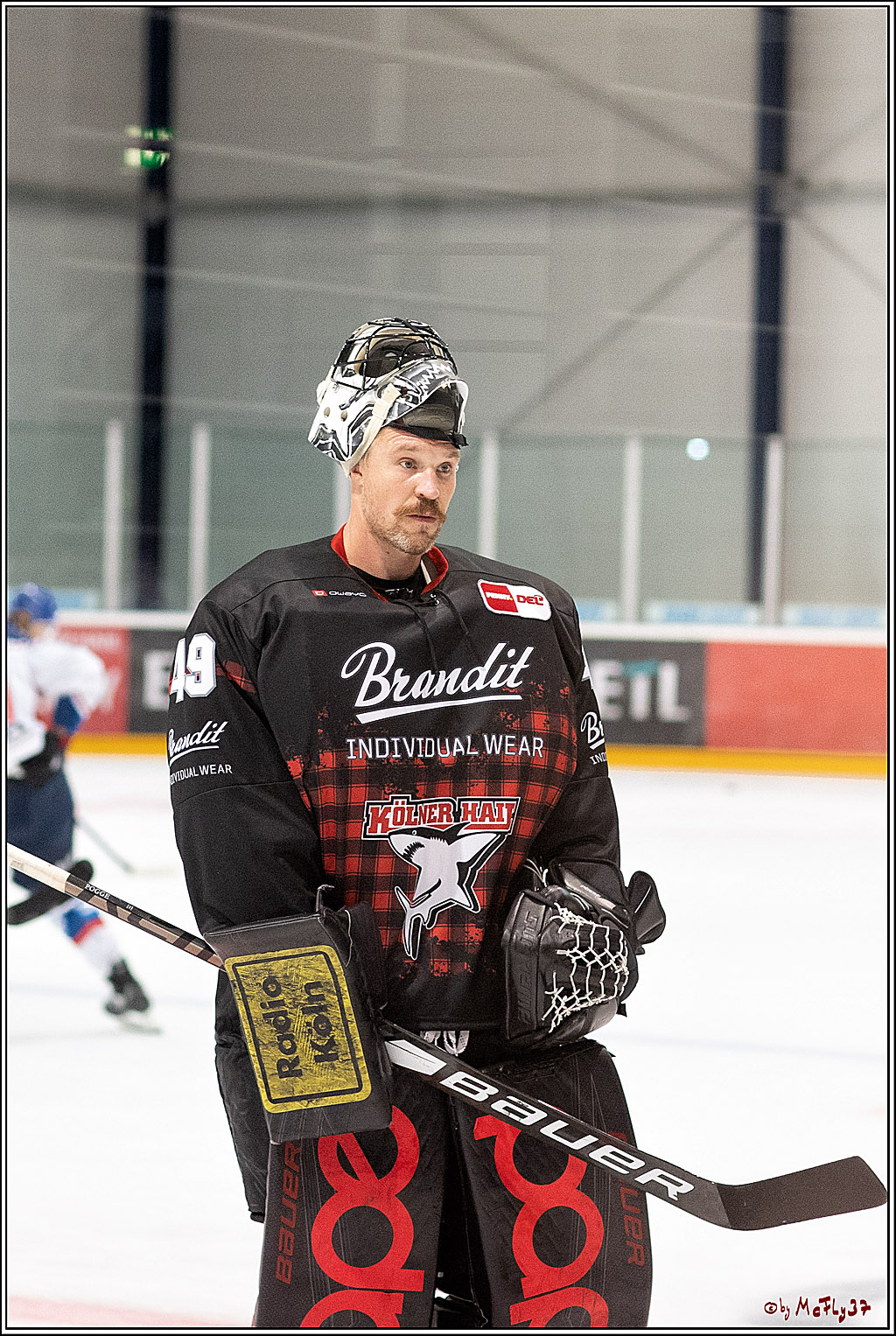 PENNY DEL;  Koelner Haie - Adler Mannheim; Koeln, 19.08.2021